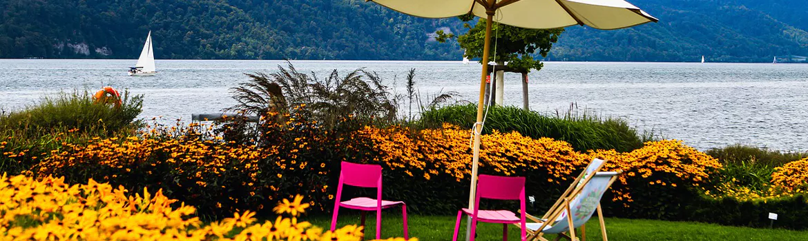 2024 Home Show Brazil：全球家居装饰与家用品市场