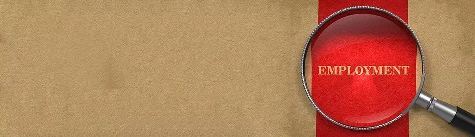 人力资源及雇佣