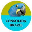 consolidabrazil