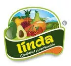 lindabrasilfrutas