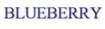 blueberryexports