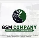 gsmcompany