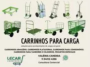 lecarcarrinhos2