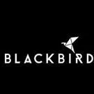 blackbirdsports