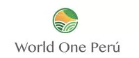 worldoneperu