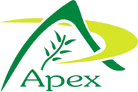 apexinternational