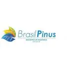 brasilpinus