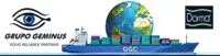 geminus