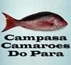 campasacamaroes