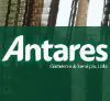 antaresinternat