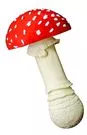 amanitamuscaria