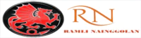 ramlinainggolanco