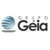 geiaconsultoria