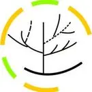 shenzhenteying