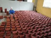 phuonglinhrattan