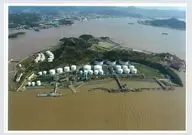 tarazpetroleum