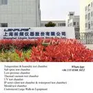shanghailinpin2