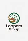 looperagroupllc