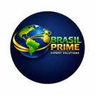 brasiltechvortex