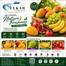 yelkaroverseas