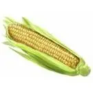 pefralagro