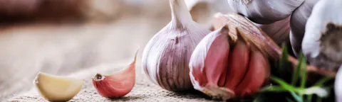 蒜 - Garlic