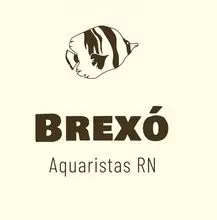 Brexó dos Aquaristas 