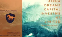 Ball investment capital