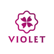 Beijing Langshuo Digital