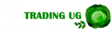 EW TRADING UG