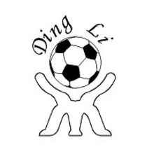 Ding Li International