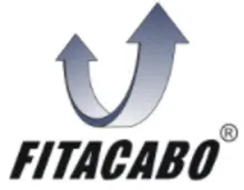 CARGA TEXTIL INDÚSTRIA E COMÉRCIO DE EQUIPAMENTOS DE  MOVIMENTAÇÃO MODAL - EIRELI - EPP