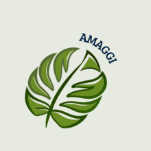 AMAGGI