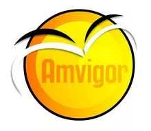 Amvigor Int'l Limited