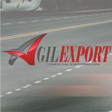 Agilexport Comercial exportadora e importadora