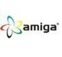 Comercial Exportadora E Importadora Amiga Ltda