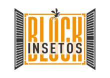 Block Insetos
