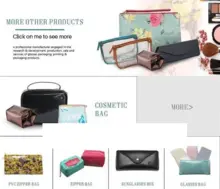 COSMETIC MAKEUP BAG,BUBBLE PROTECTOR BAG,SECURITY 