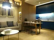 石塑地板  防火墙板  板式家居