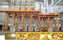 Steel Structure Flour Milling Plant