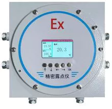 精密露点测量 DP1000