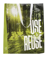 BOPP 带提手广告袋