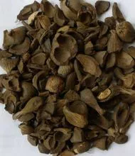 园艺和家居用品