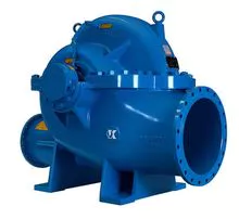 Double suction pump