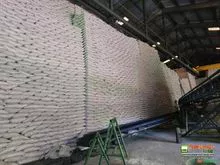 ICUMSA 45 食糖 – 直接来自糖厂的供应