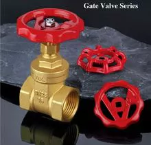 Gate Valve