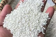 GLUTINOUS RICE 