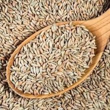 Premium Rye：立即在线订购！