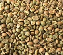 越南罗布斯塔咖啡豆