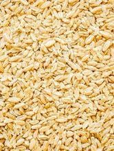 Premium Freekeh：立即在线订购！